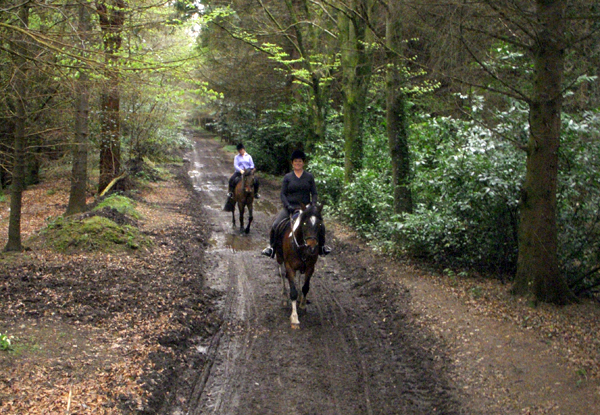 castle leslie estate trail riding